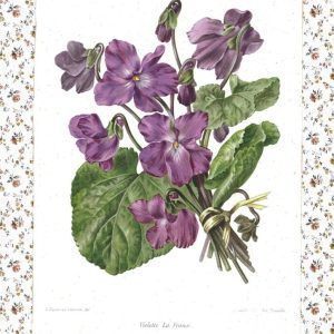 PAS0022 V.A.E. (Veritable Antique Elements) Papel arroz "Violetas"