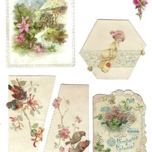 PAS0035 V.A.E. (Veritable Antique Elements) Papel Arroz "Cromos Antiguos"