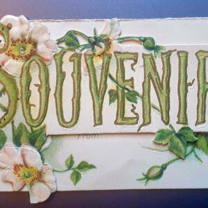 PMD0005 V.A.E.(Veritable Antique Elements) Postales Especiales Modernistas y Deco 1890 - 1930