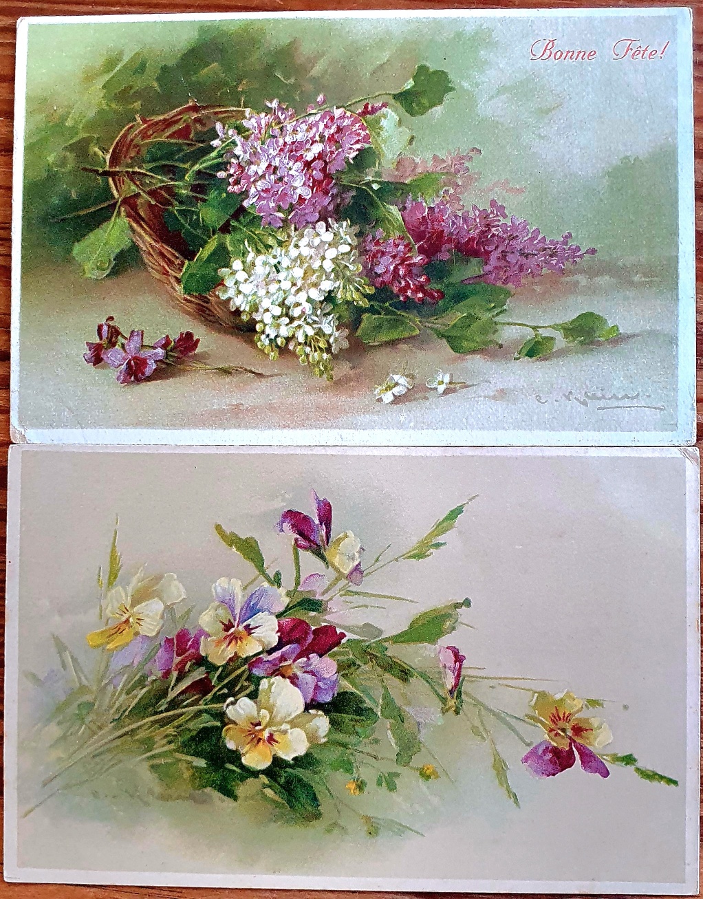 PAF0007 V.A.E. (Veritable Antique Elements) Postales Antiguas Flores 1880/1925