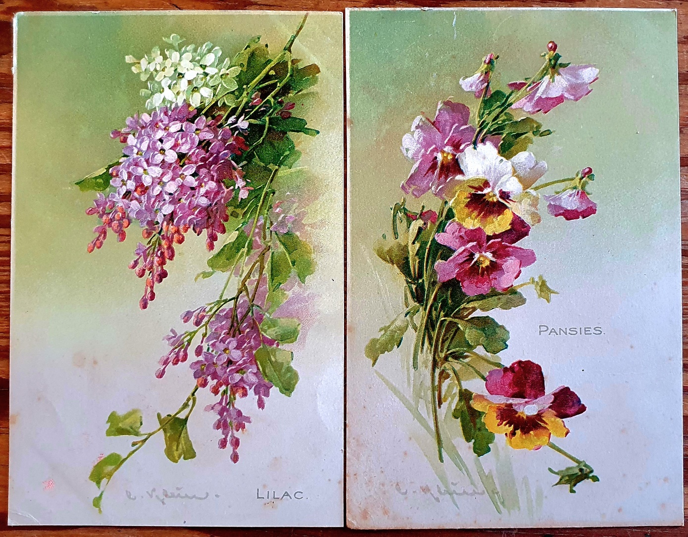 PAF0012 V.A.E. (Veritable Antique Elements) Postales Antiguas Flores 1880/1925