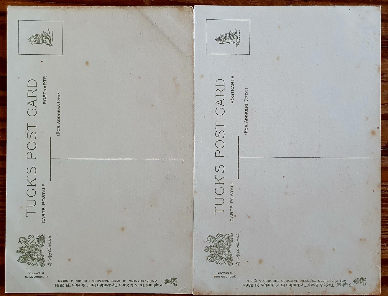 PAF0012 V.A.E. (Veritable Antique Elements) Postales Antiguas Flores 1880/1925 - Imagen 2