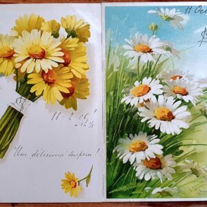 PAF0015 V.A.E. (Veritable Antique Elements) Postales Antiguas Flores 1880/1925