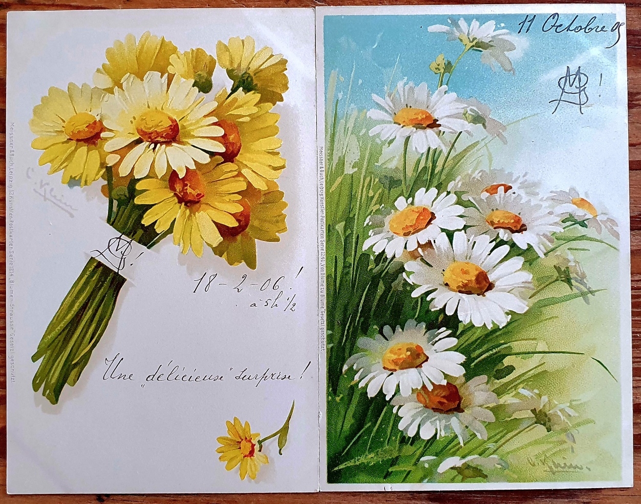 PAF0015 V.A.E. (Veritable Antique Elements) Postales Antiguas Flores 1880/1925