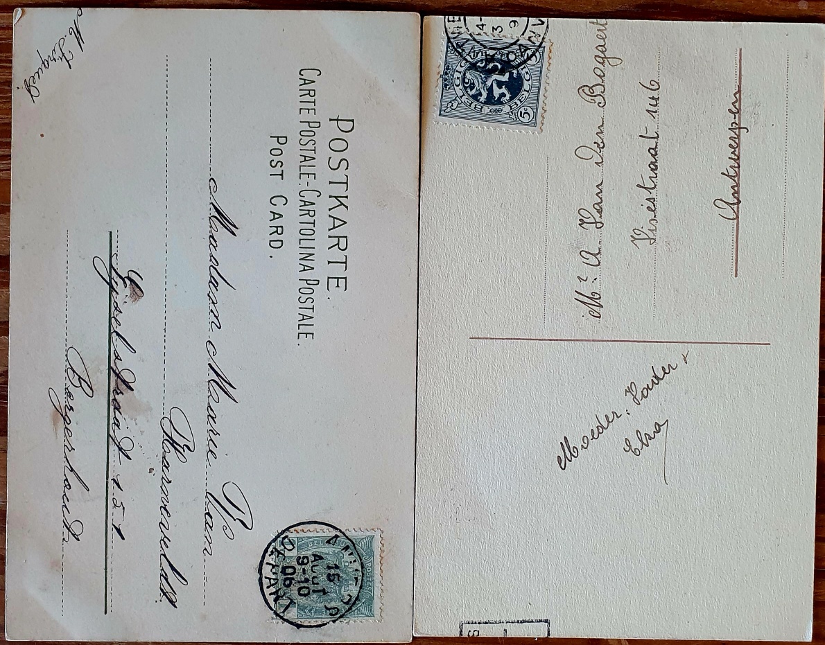 PAF0016 V.A.E. (Veritable Antique Elements) Postales Antiguas Flores 1880/1925 - Imagen 2