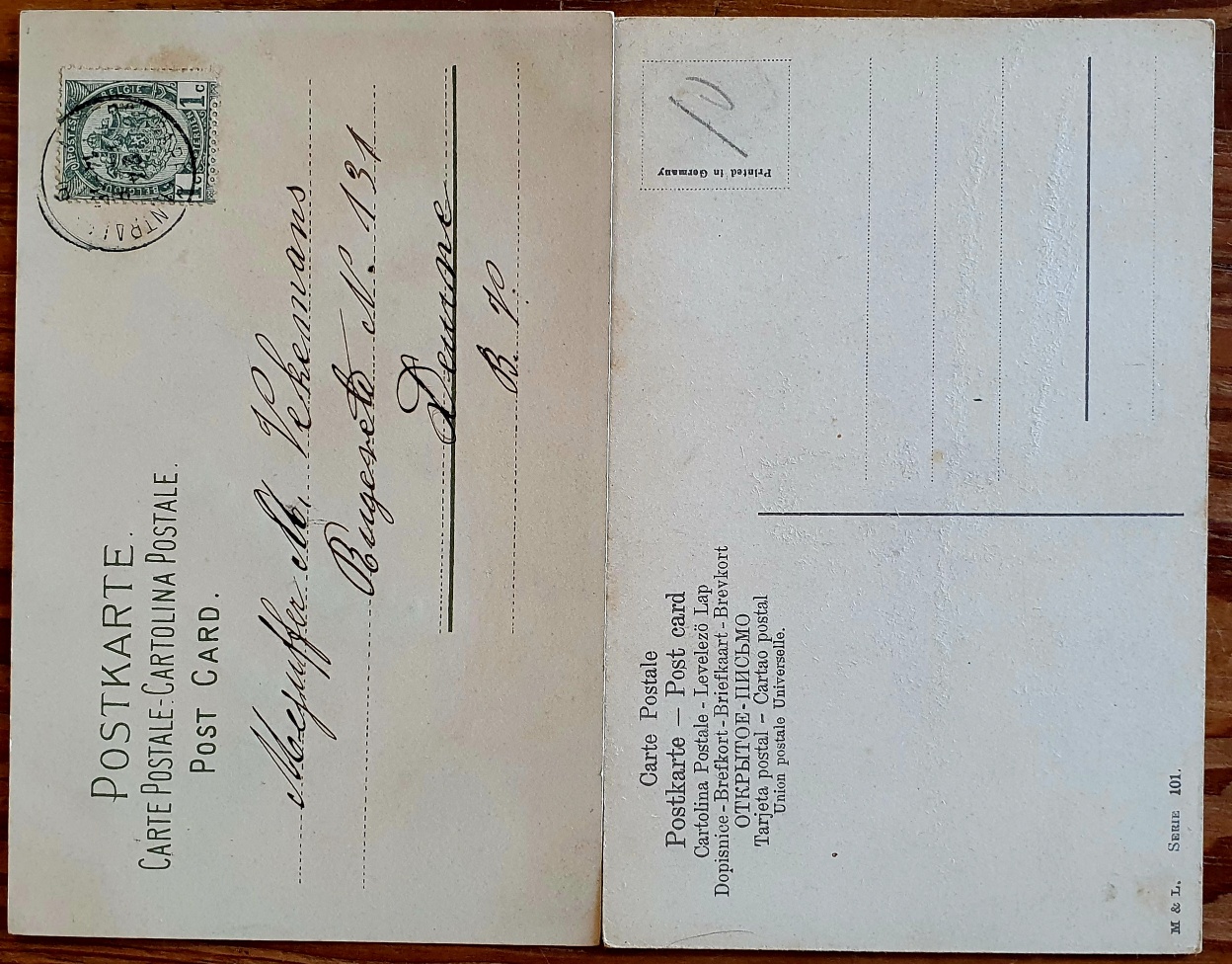 PAF0017 V.A.E. (Veritable Antique Elements) Postales Antiguas Flores 1880/1925 - Imagen 2
