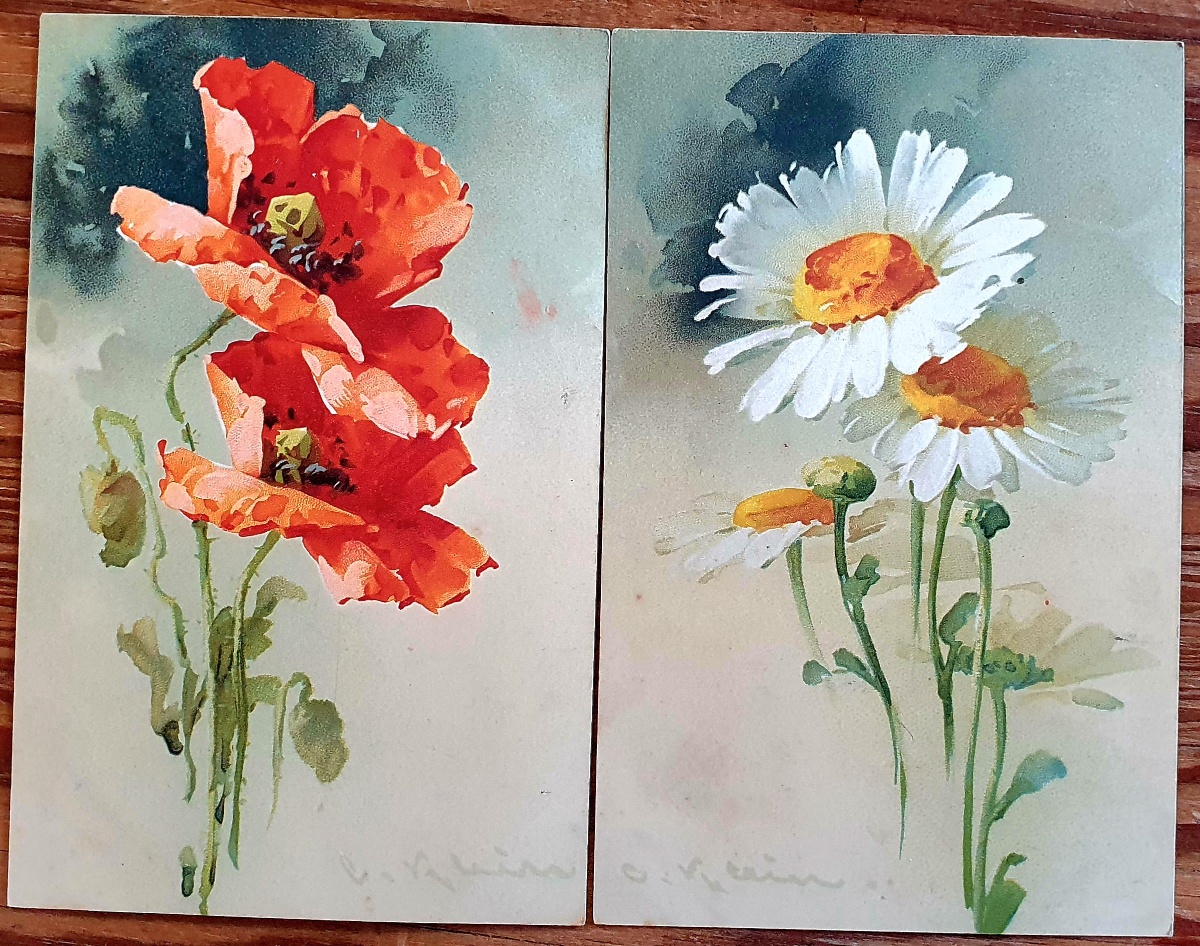 PAF0020 V.A.E. (Veritable Antique Elements) Postales Antiguas Flores 1880/1925