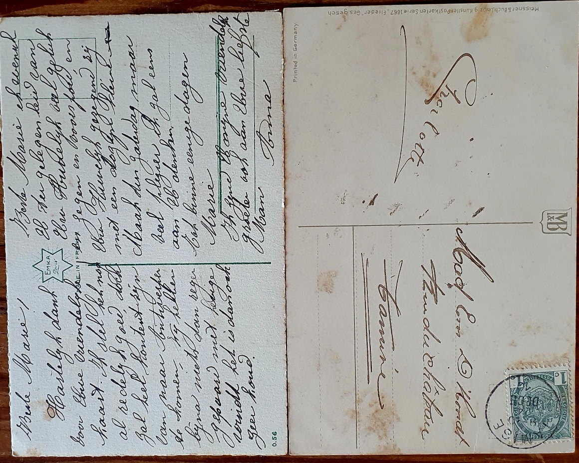 PAF0021 V.A.E. (Veritable Antique Elements) Postales Antiguas Flores 1880/1925 - Imagen 2