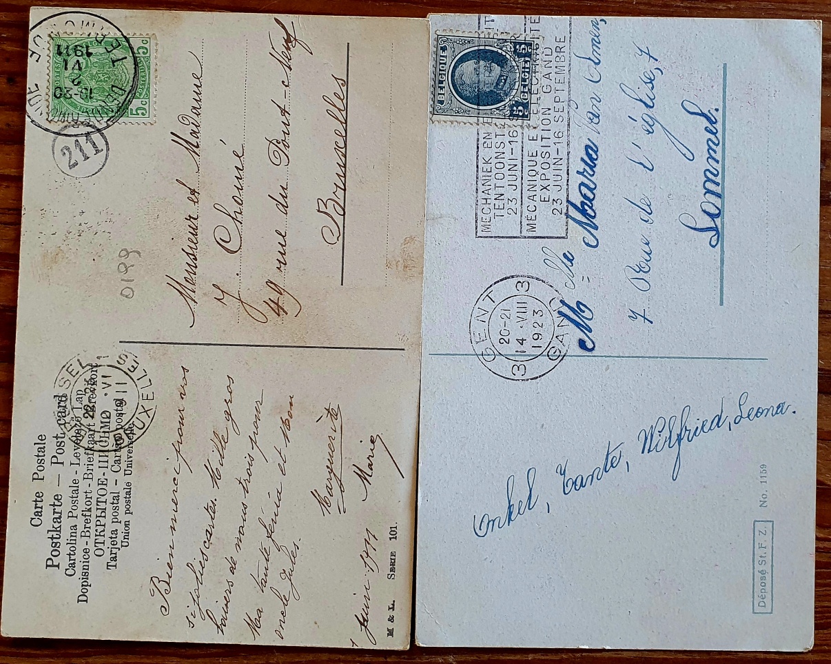 PAF0023 V.A.E. (Veritable Antique Elements) Postales Antiguas Flores 1880/1925 - Imagen 2